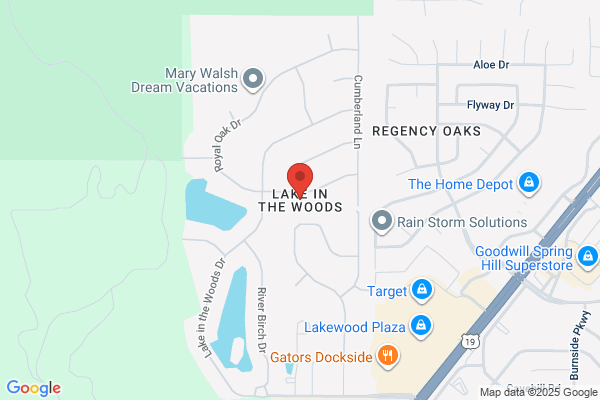 Lake In the Woods, Security