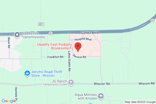 Pasco Hernando Surgical Associates