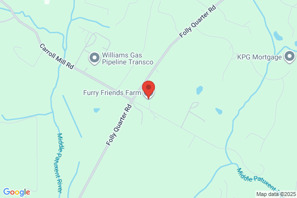 Furry Friends Farms