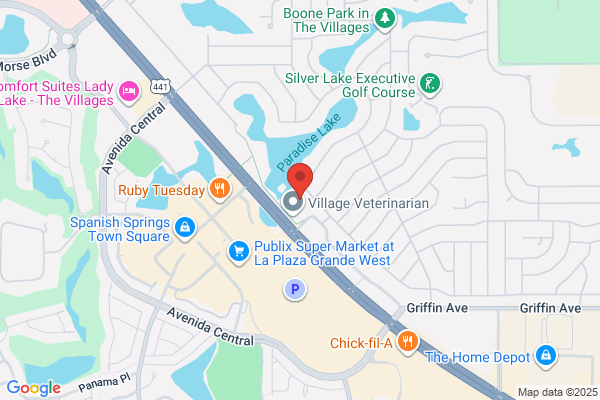 Palliative Care Connections, an Amedisys Company