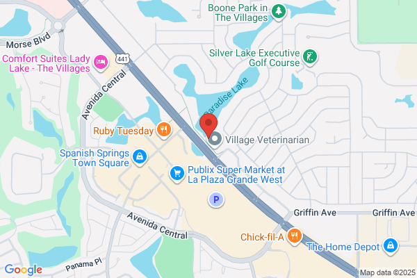 AllerVie Health - Lady Lake