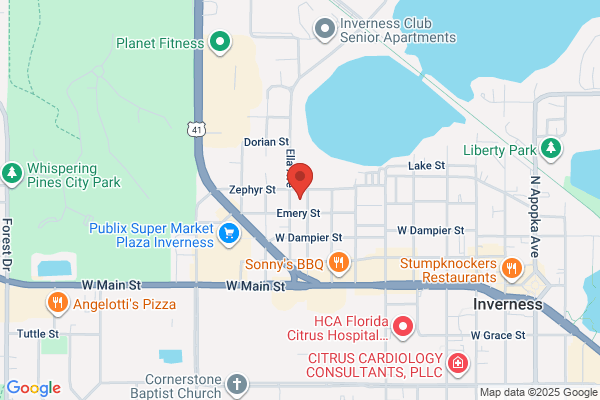 A1 Computer Geeks Of Florida Inc