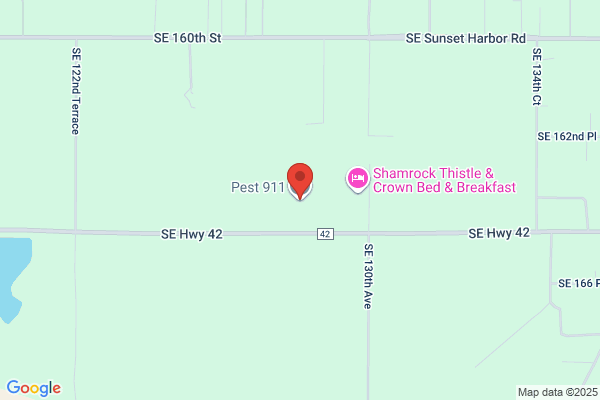 Pest 911 LLC