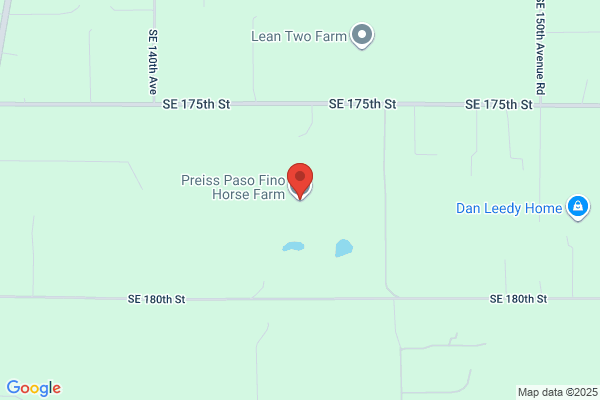 Preiss Paso Fino Horse Farm