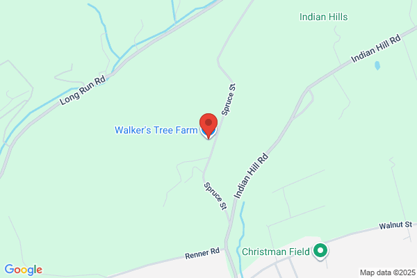 Walker's Tree Farm