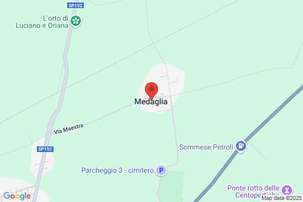 Medaglia & Co