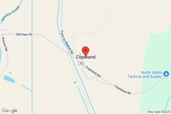 Copland Caryl
