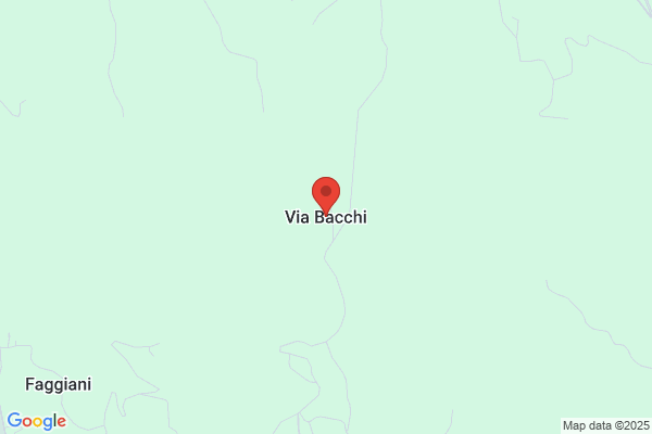 Bacchiochi Mobil