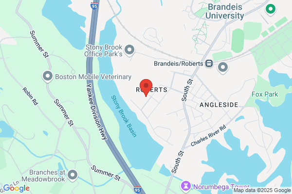 A Bonadio & Sons