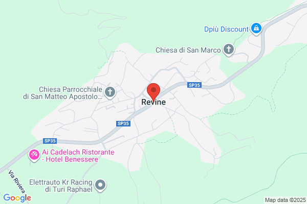 Revinea