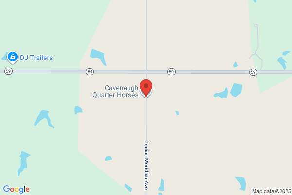 Caney Creek Quarter Horses