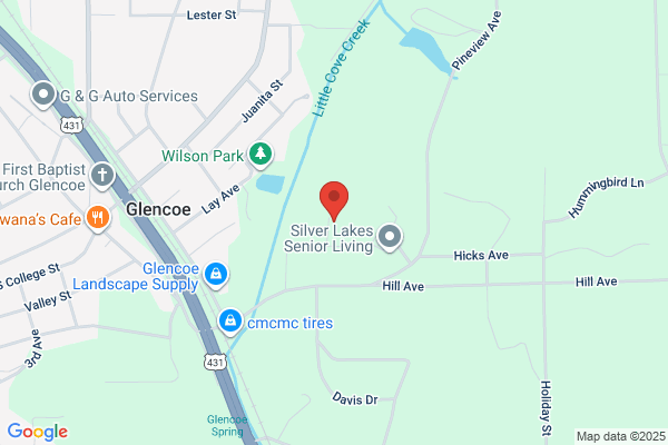 Glencoe City of, Senior Outreach Service