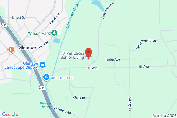 Silver Lakes Developers Inc