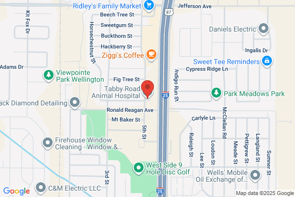 Tabby Road Animal Hospital