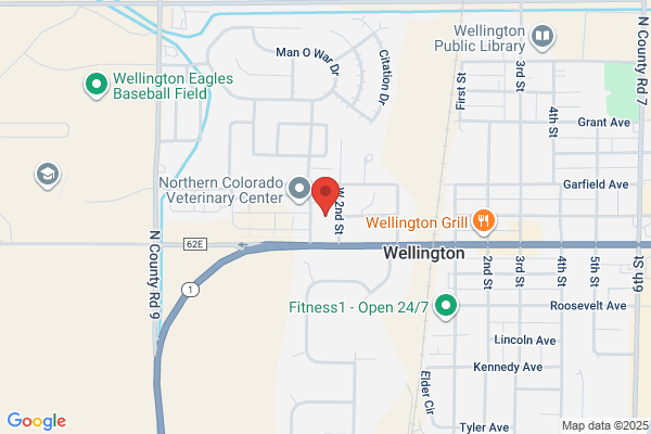 Wellington Eye Care