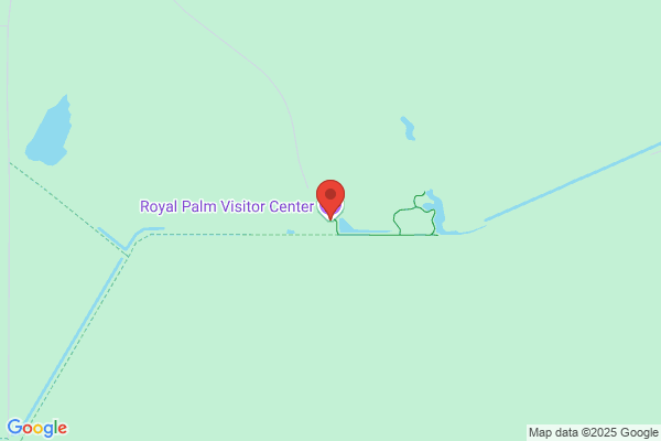 Royal Palm Center Llc