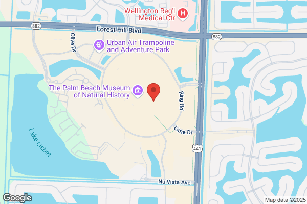 Hollywood Video