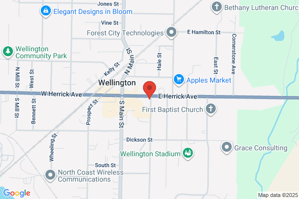 Wellington Auto Service