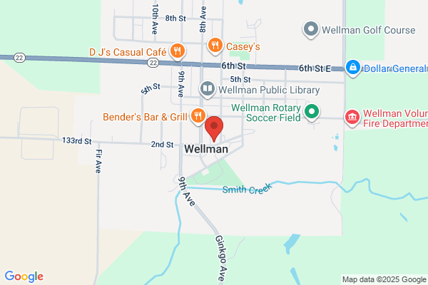 NAPA Auto Parts - Wellman Auto Parts
