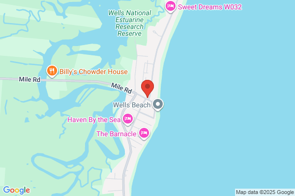 Beachcomber the