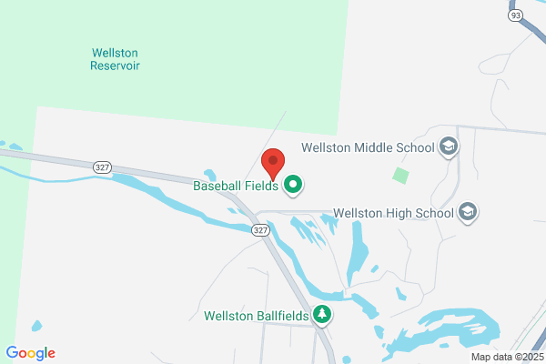 Wellston Volunteer Fire Fighters Association
