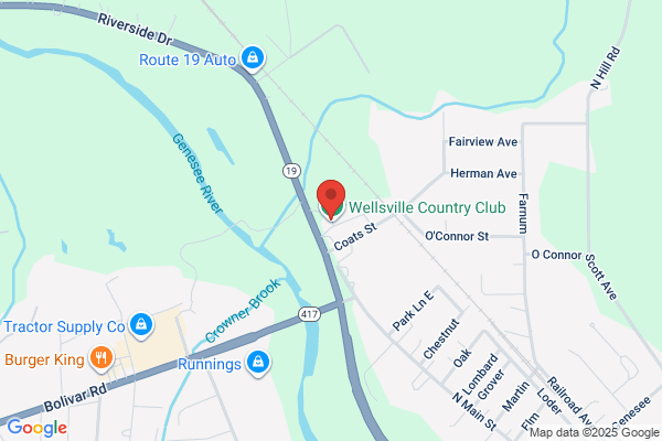Wellsville Bar & Grill