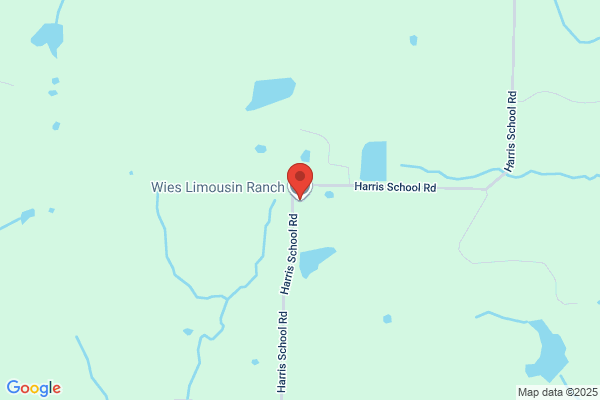 Wies Limousin Ranch