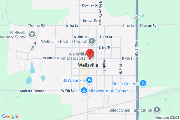 Wellsville Pet Care