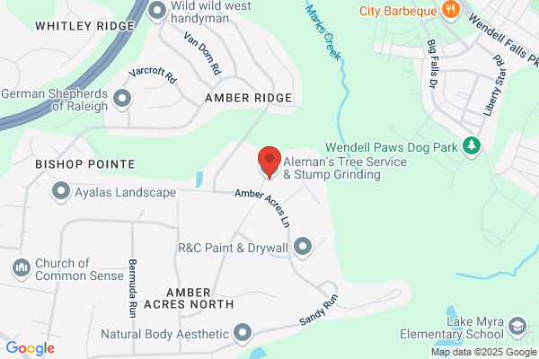 Aleman's Tree Service & Stump Grinding
