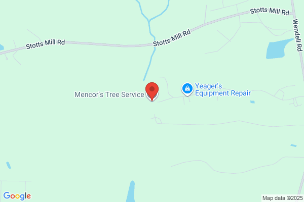Arborist 1 Tree Service
