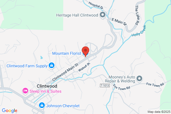 Mountain Florist