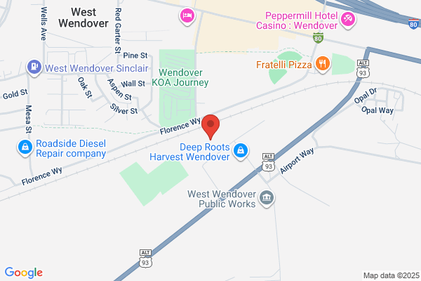 West Wendover City of, Animal Control