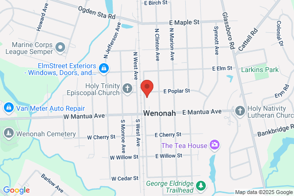 Timber Cut Tree Service