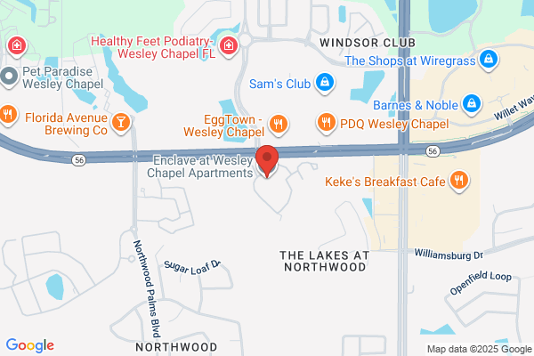 Enclave at Wesley Chapel