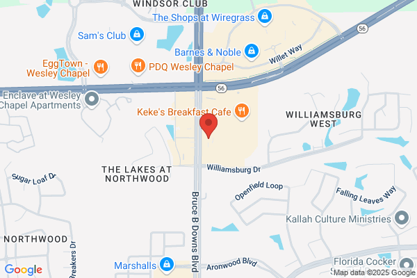 Mattress Firm New Tampa III