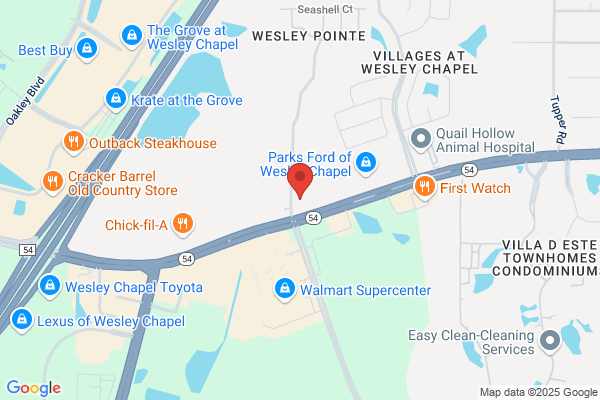 Kia of Wesley Chapel