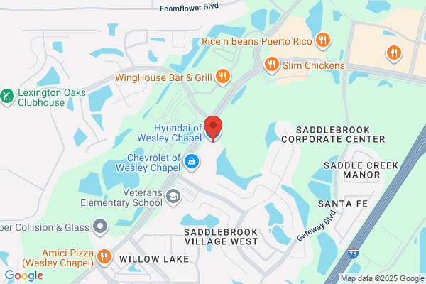 Genesis Of Wesley Chapel