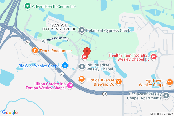 Cypress Creek Chiropractic and Wellness