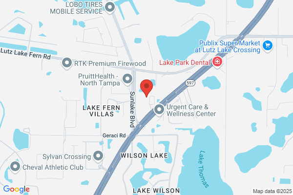 The Back To Wellness Center - Wesley Chapel Chiropractor