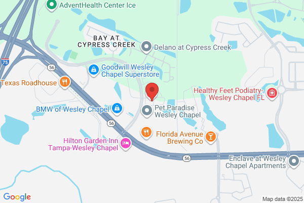 Smileville Family Dental Center