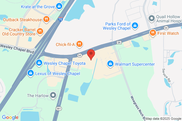 Publix Super Market at Hollybrook Plaza