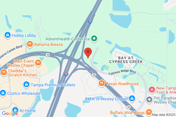Holiday Inn Express & Suites Tampa North - Wesley Chapel, an IHG Hotel
