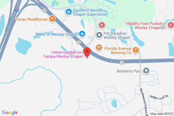 Hilton Garden Inn Tampa-Wesley Chapel