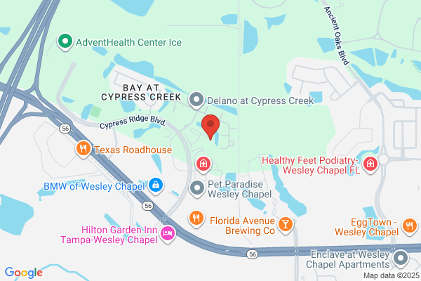 North Tampa Law Group