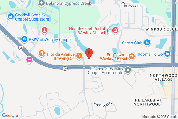 CORA Physical Therapy New Tampa