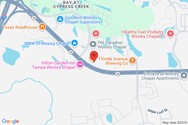 Whitney Lohr, REALTOR | Florida Living Group