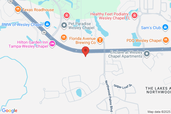 Life Storage - Wesley Chapel