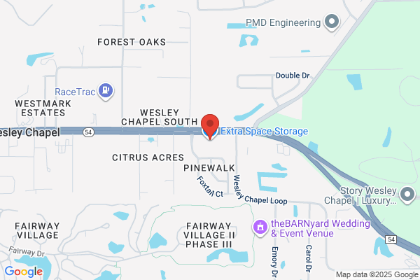 Life Storage - Wesley Chapel