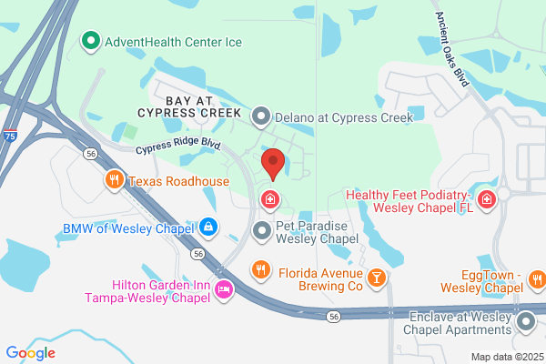 Wesley Chapel Dermatology: Sujatha Tadicherla, MD