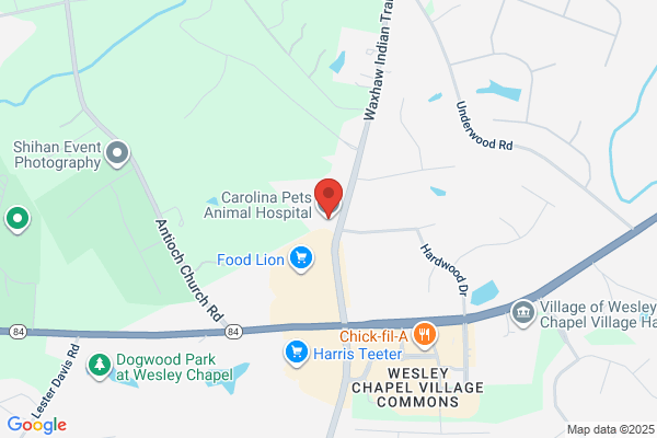 Carolina Pets Animal Hospital